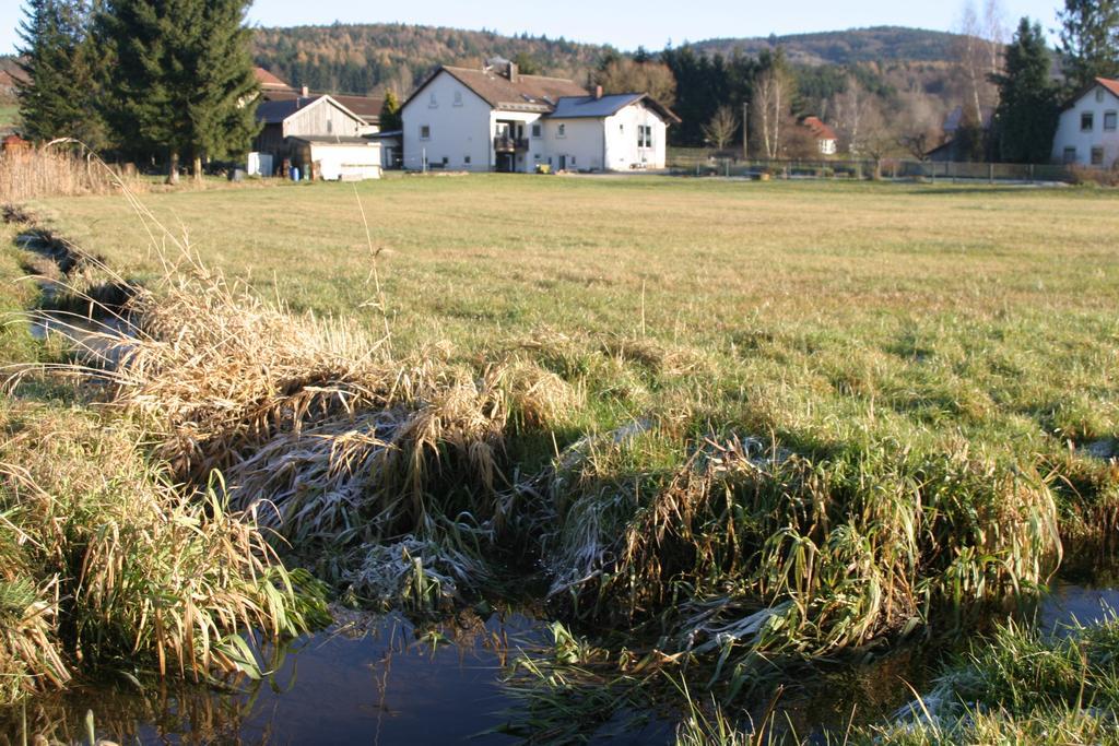 WaldmünchenHaus Am Treffenbachアパートメント エクステリア 写真